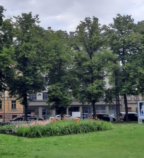 image_60860