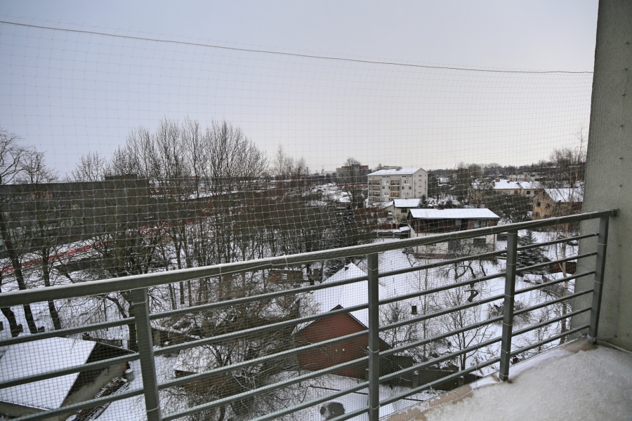 image_65357