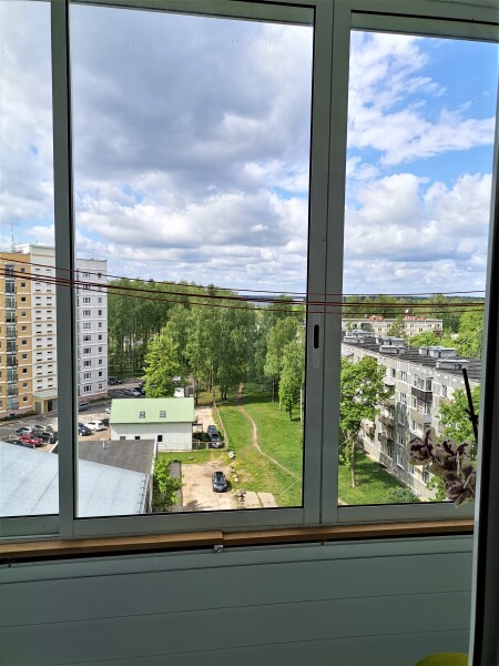 image_65394