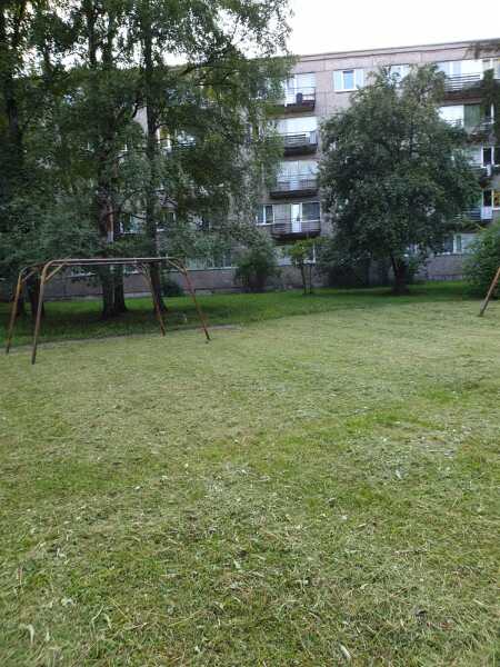 image_65996