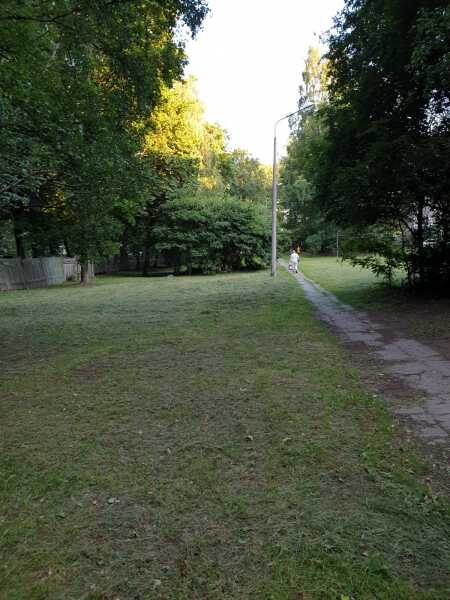 image_65997