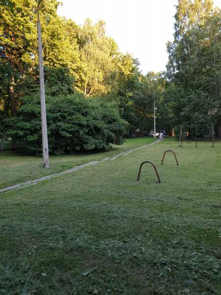 image_65999