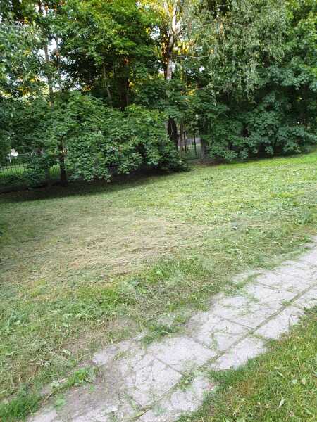 image_66000
