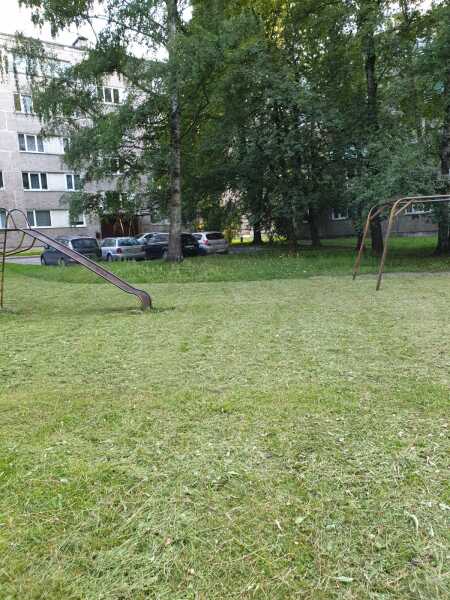 image_66001