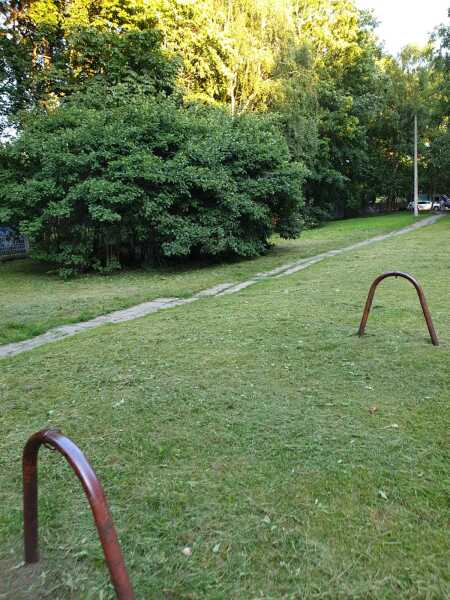 image_66002