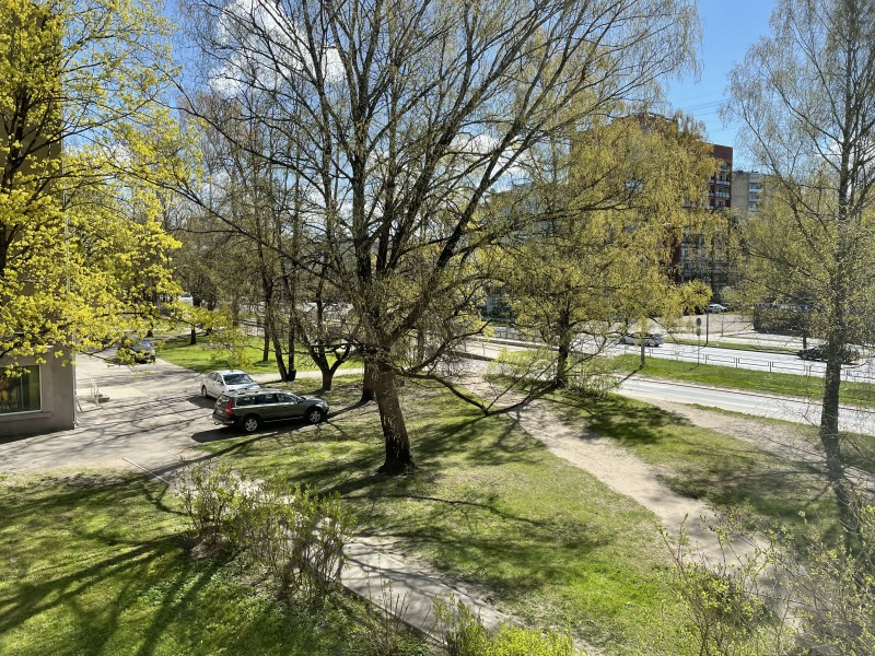 image_66795