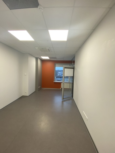 image_72065