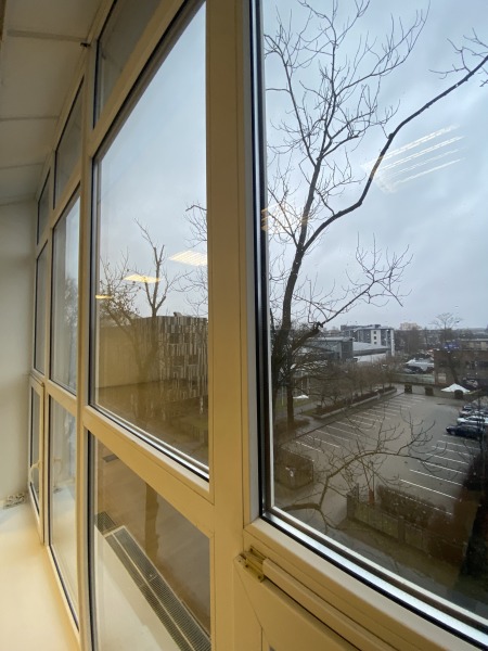 image_71902