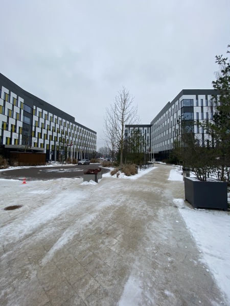image_72779