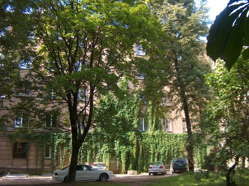 image_74355