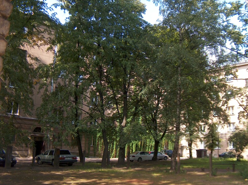 image_74356