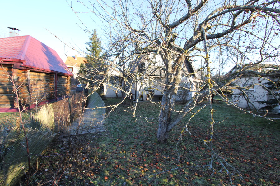 image_75018